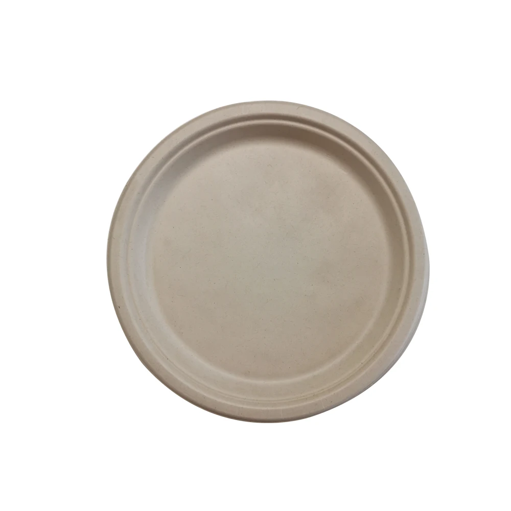 Disposable Sugar cane paper pulp dinner restaurant biodegradables bagasse  plate disposable plates and cups