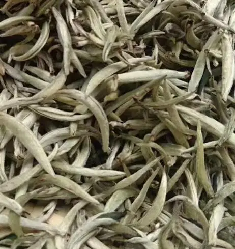 Yin zhen cha china Silver Needle tea for sale