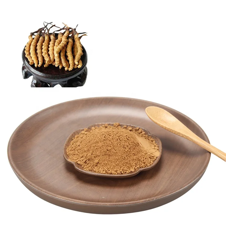 100 % wild health fermented cordyceps sinensis extract benefits prix price caterpillar fungus