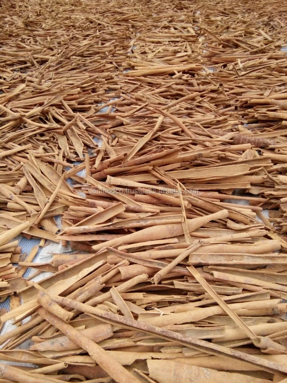 Stick Cassia 3 inches cut from Vietnam FACTORY PRICES