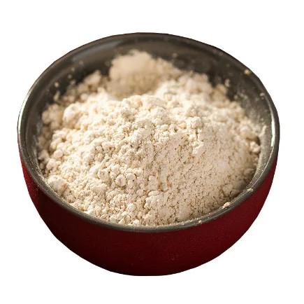 factory wholesale garlic extract powder 20kg garlic powder and chilli paste seasoning garlic powder
