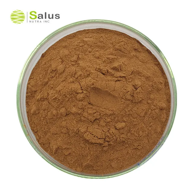 Порошок экстракта Ganoderma Lucidum 30% 40% полисахаридов для иммунной поддержки здоровья способствует спокойному сну