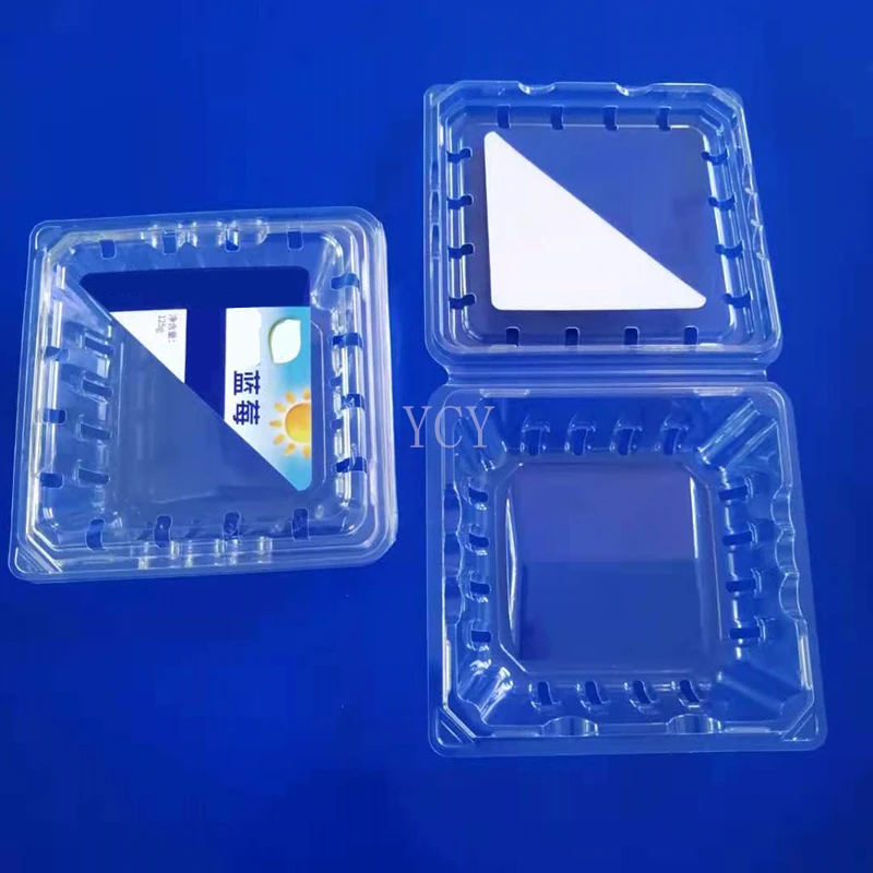 disposable blueberry plastic fruit clamshell packaging container clam shell PET punnet With Lid