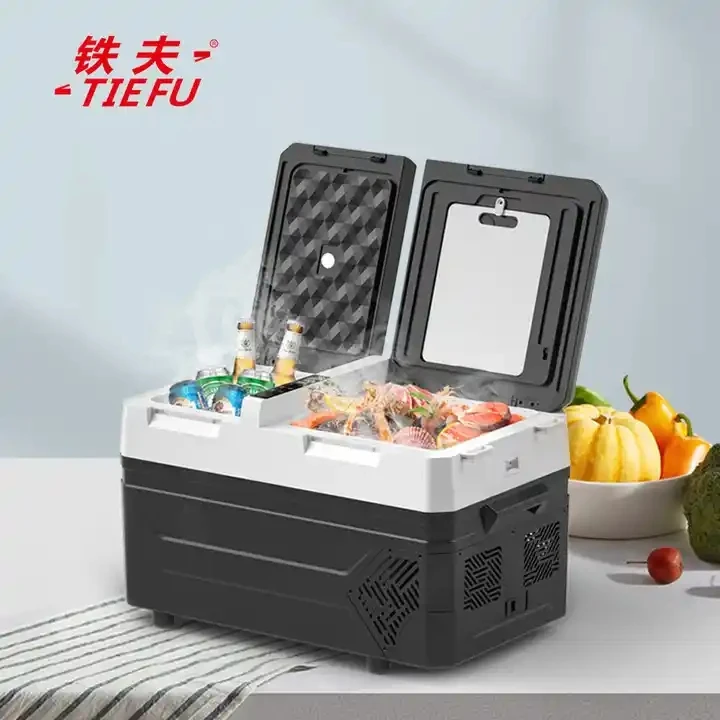 12v Dc Mini Refrigerators Manufacturer Fridges And Deep Freezers Camping Portable Mini Fridge