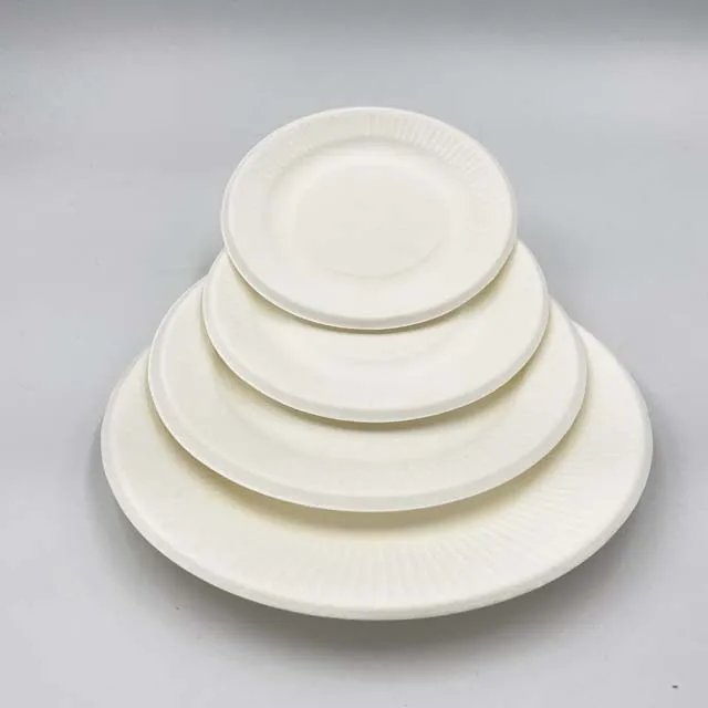 Wholesaling Disposable Pulp Good Price Round Sugarcane Bagasse Paper Plates Tableware ripple round plate 6 inch