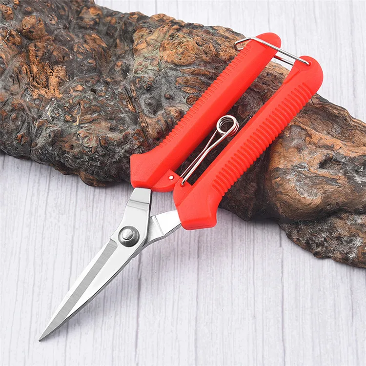 Mini Gardening Grape Tree Pruner Pruning Stainless Steel Blade Garden Flower Shears Scissors