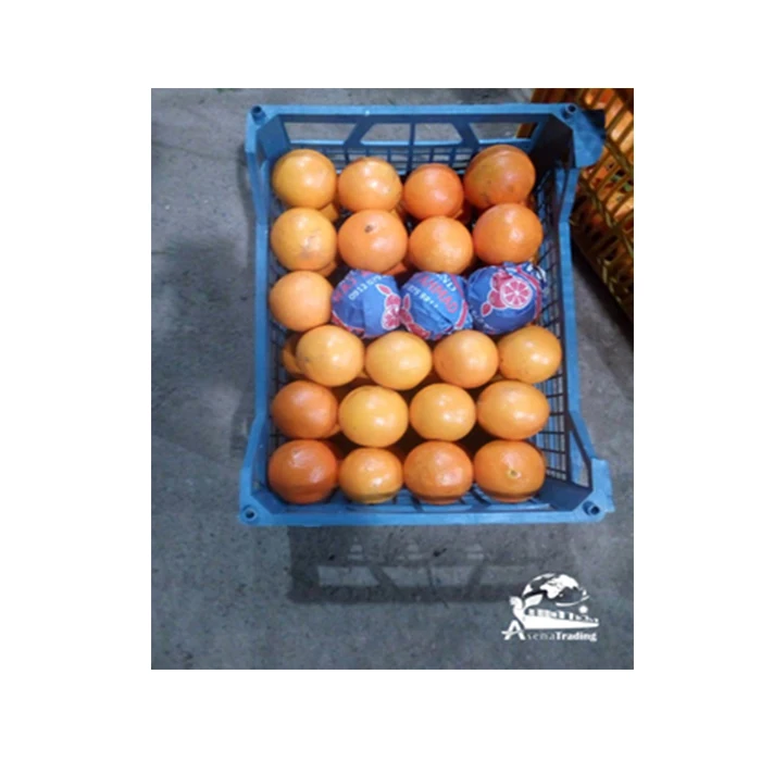 The most popular wholesale low price New crop Tangerine Fresh fruits Mandarin oranges brands fresh oranges
