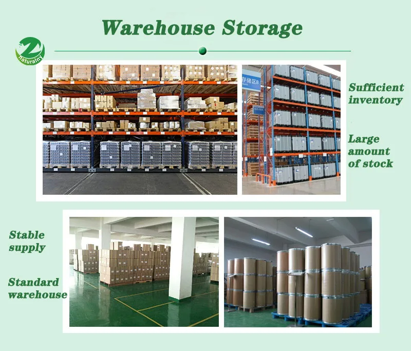 Factory Supply Factory Price Natural Wholesale Bulk Witch Hazel Eextract Powder