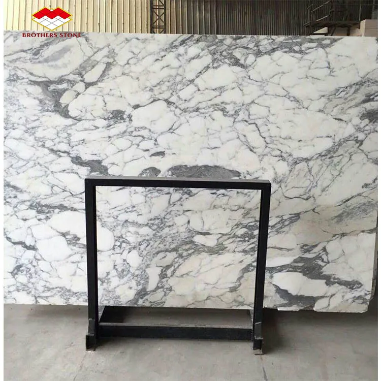 Newest Design Italy White Marble Stone Arabescato Corchia Marble Slab  for Bathroom Basin Countertop
