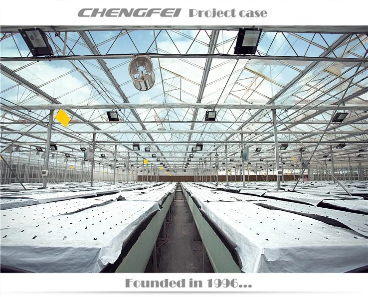 Multi-span Glass Electric Steel Pipe Tube Bending Machine Rebar Bender in Philippines For Vegetable Greenhouse Garden