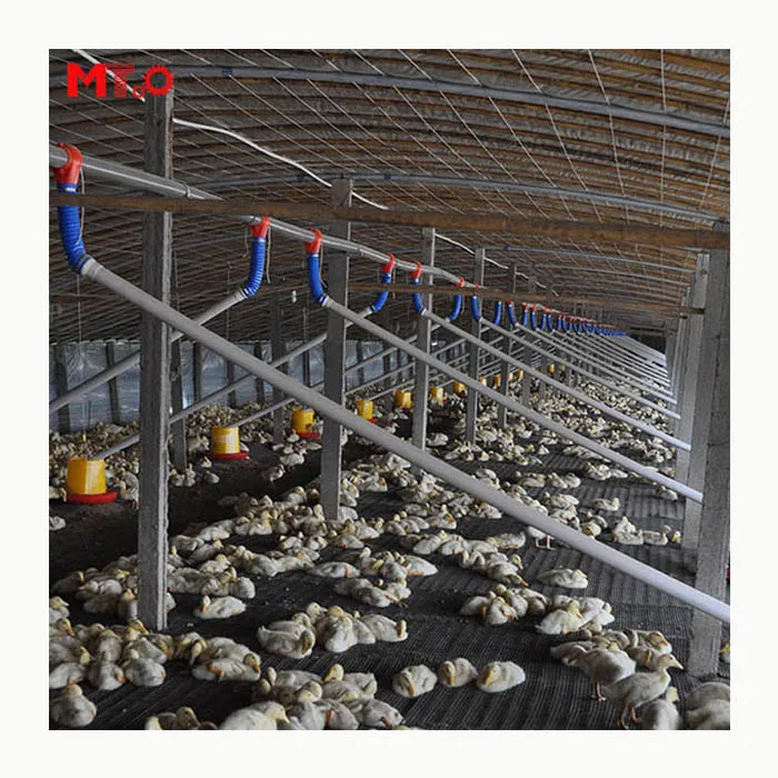 Автоматическая наземная кормушка для цыплят, для домашнего дома, для пород, курицы, для птицефермы