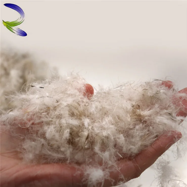 Washed gray duck down feather, down for bedding and pillows