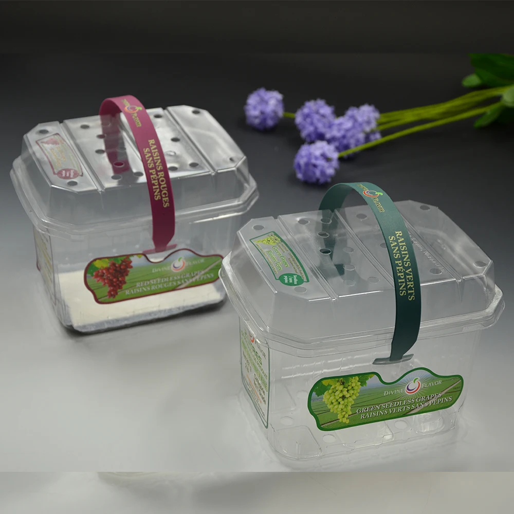 vegetable plastic fruit container for market packaging fruit box for vegetable and fruit
