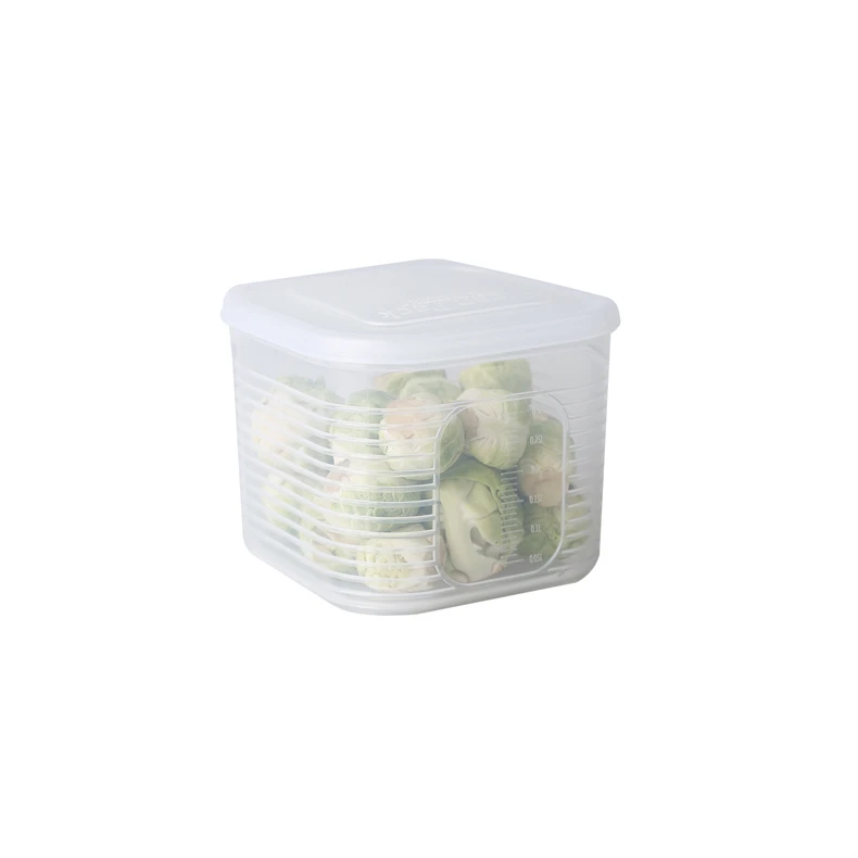 Household Plastic Boxes With Lid Kitchen Refrigerator Fruit Case Crisper Divide Food Storage Box
