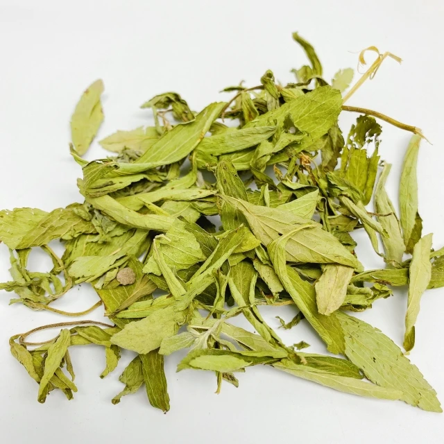 High Quantity Wholesale Herbal Tea Dried Stevia Rebaudiana Leaf Chinese Herb