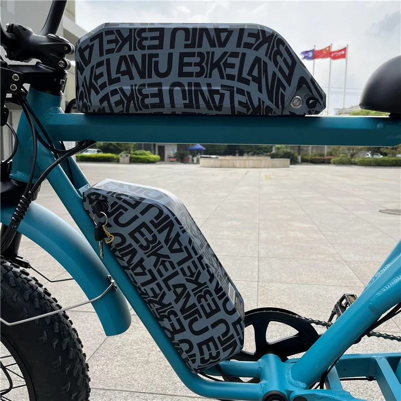 Powerful 1000w dual motor dual battery road electric fat bike other cruiser electric bicycle 20inch 48v ebike for sale