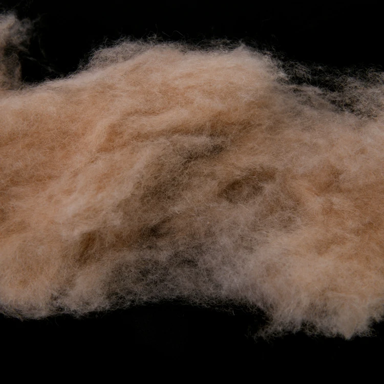 Dehaired camel hair, camel wool waste on sale