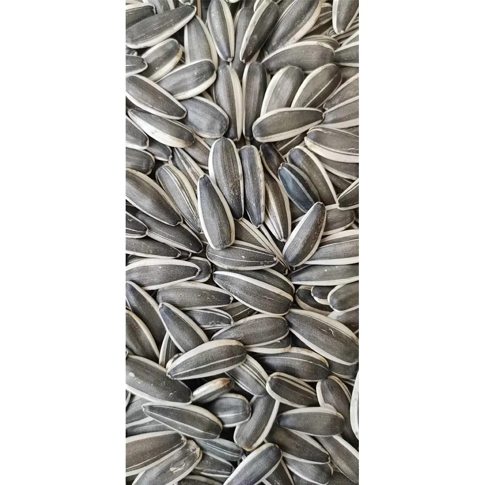 
2020 top quality wholesale organic bulk raw sun flower seeds 