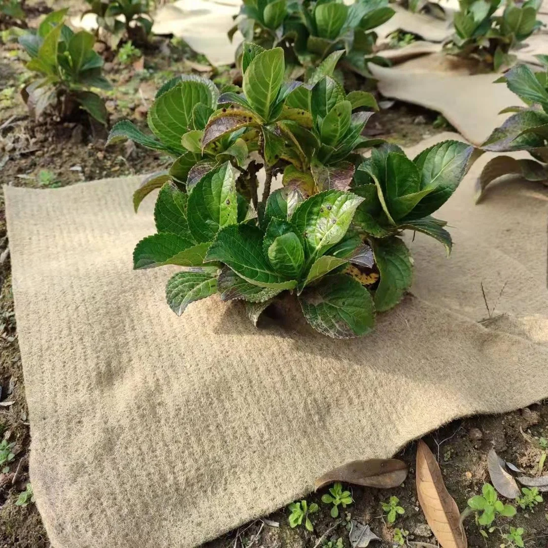 Джутовый коврик для борьбы с сорняками для горшков и растений, 100% биоразлагаемый