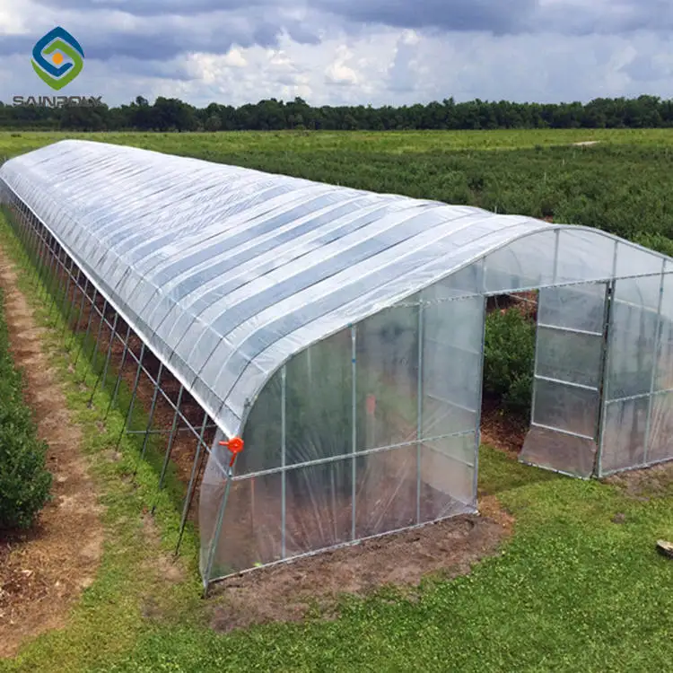 Hot Sale Sainpoly Economical Tunnel Greenhouse Design for Growing Vegetables