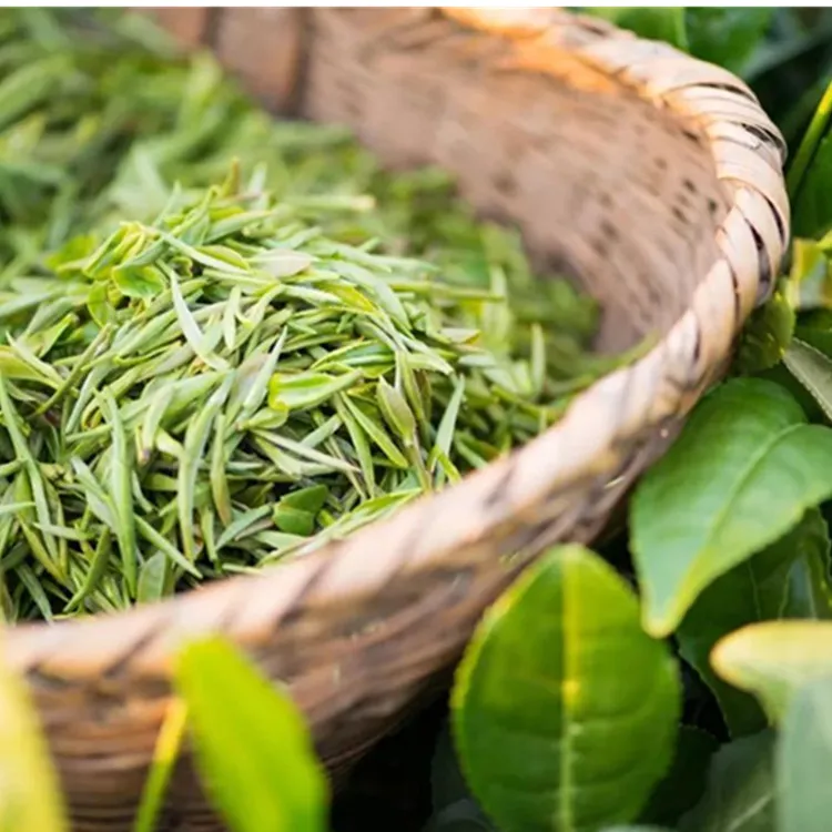 Заводская поставка оптовые добавки органический экстракт L-теанина лучший порошок оптовая продажа CAS 3081-6