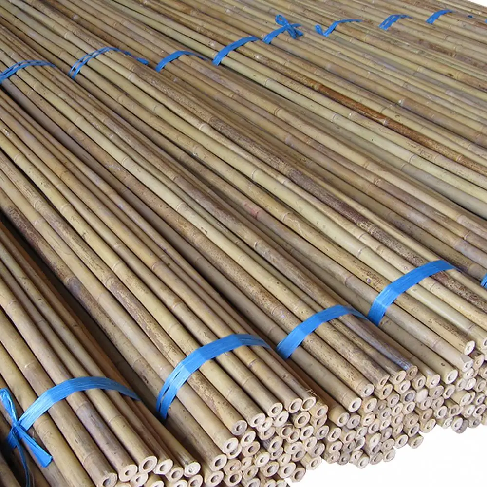 Cheap Eco Friendly Natural Raw Bamboo Poles Bamboo Poles For Plant Support