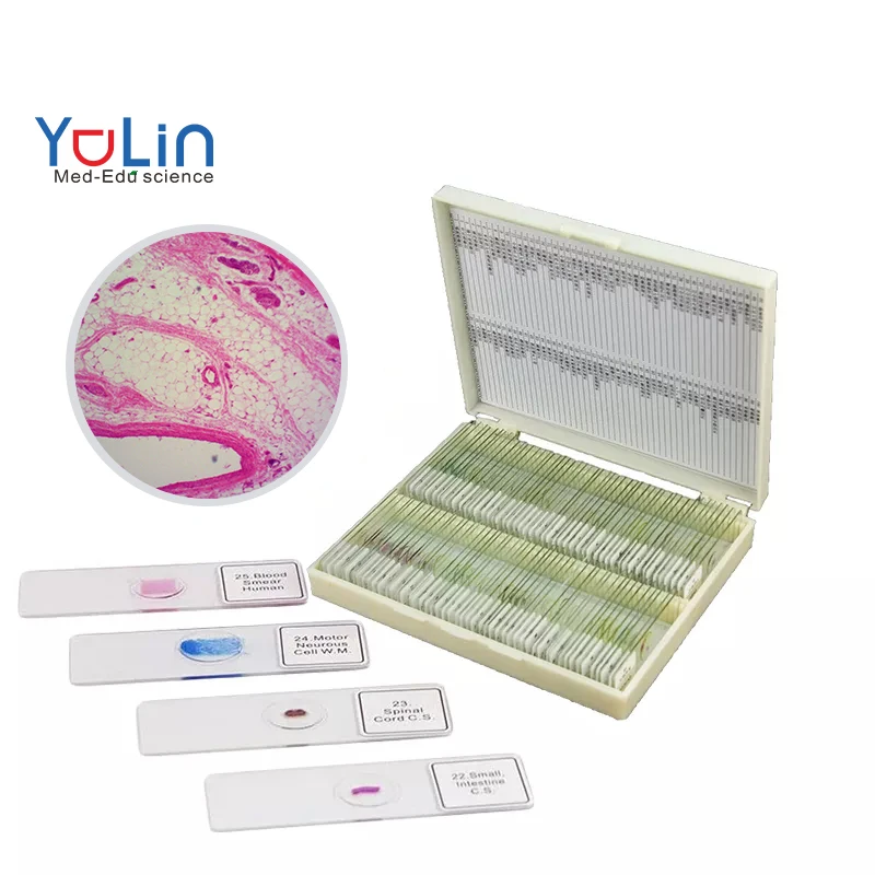 Teaching resources Teaching equipment Medical microscope preparation of biological slides histological mix 10 pieces