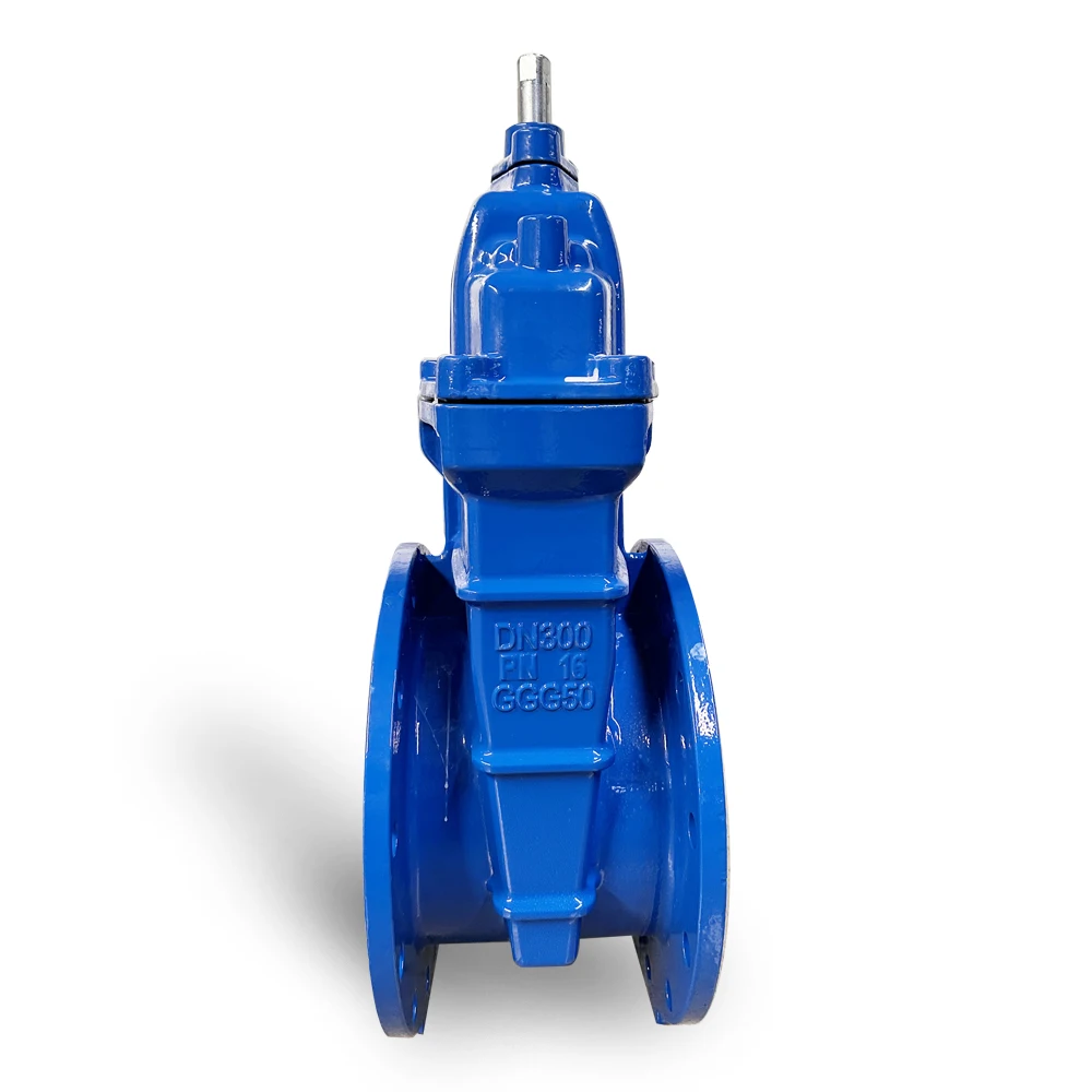 Soft Seal Water Rubber Y Ductile Iron Standard China DN100 4 Inch wedge Gate Valve
