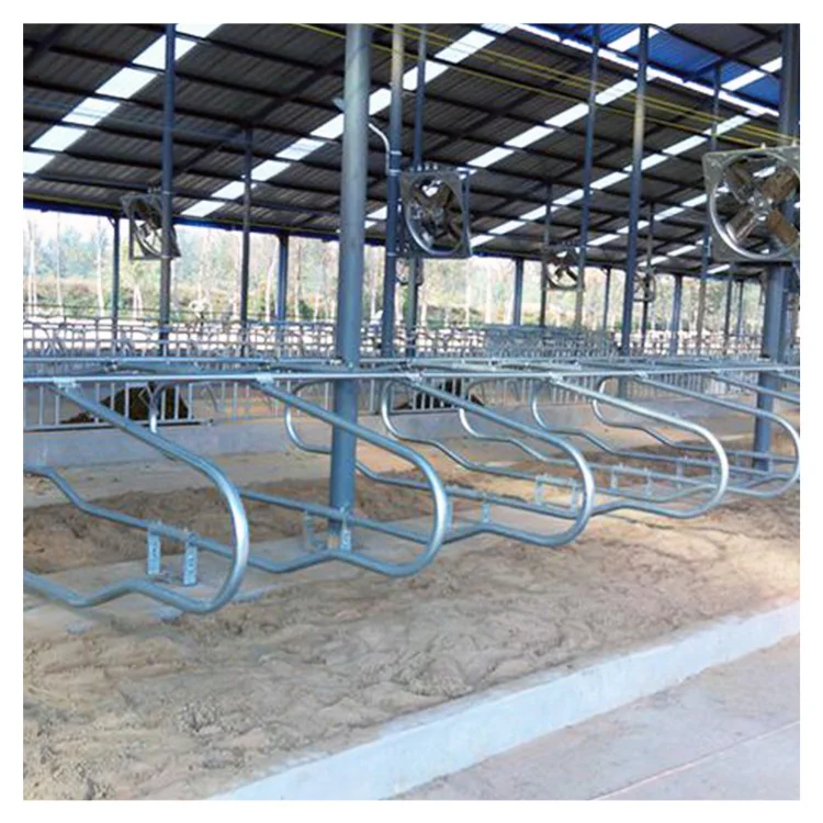 Galvanized panels cubicle cow free stall for dairy farm equipment