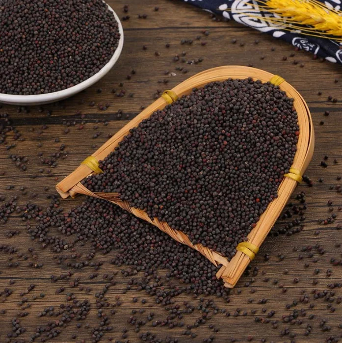 Hot selling mustard seeds edible black granulated spice premium white/yellow/black mustard seeds