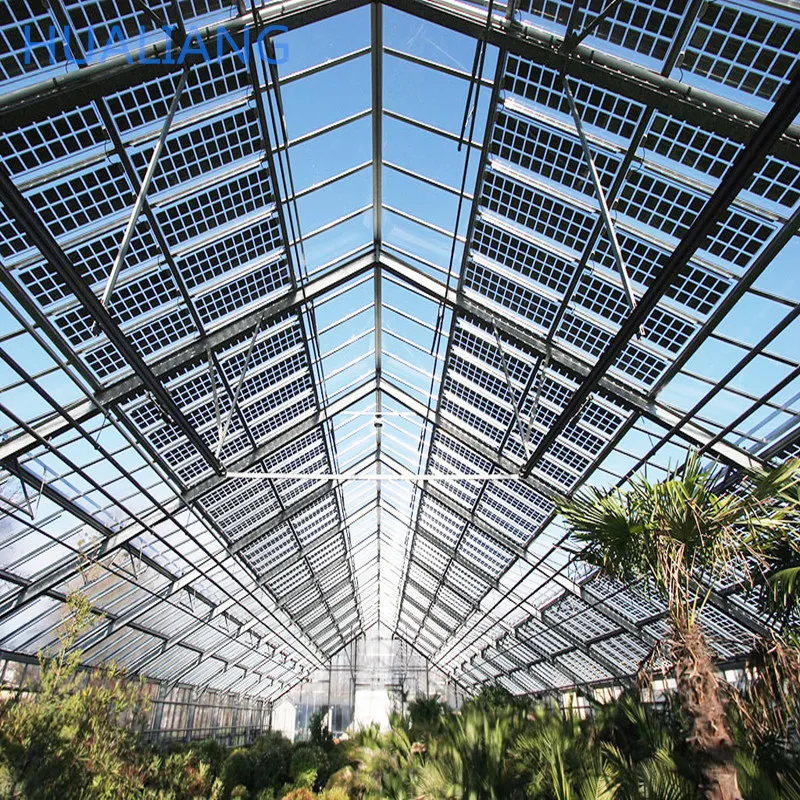 Agricultural Polycarbonate Solar Panel/Sheet Greenhouse Turnkey Project Complete Cooling/Heating System