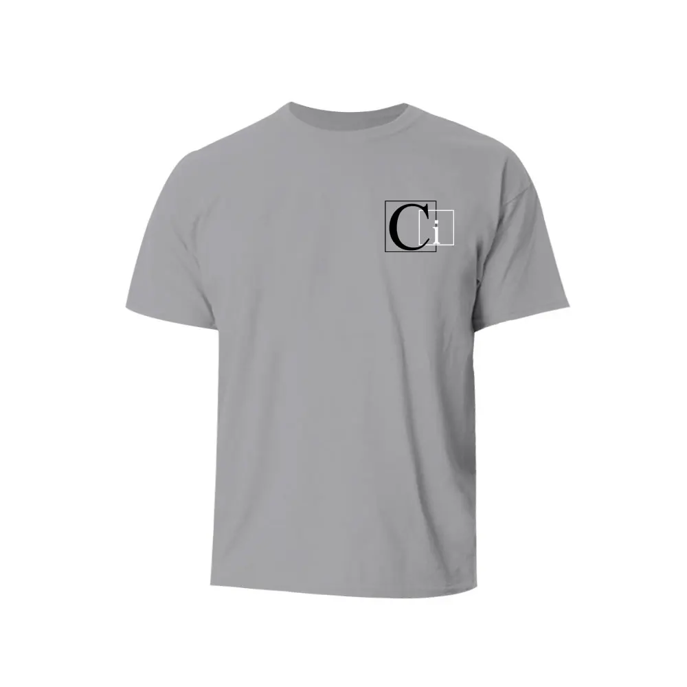 China hot sale cheap mens clothing manufacturing company  blank t shirts for man