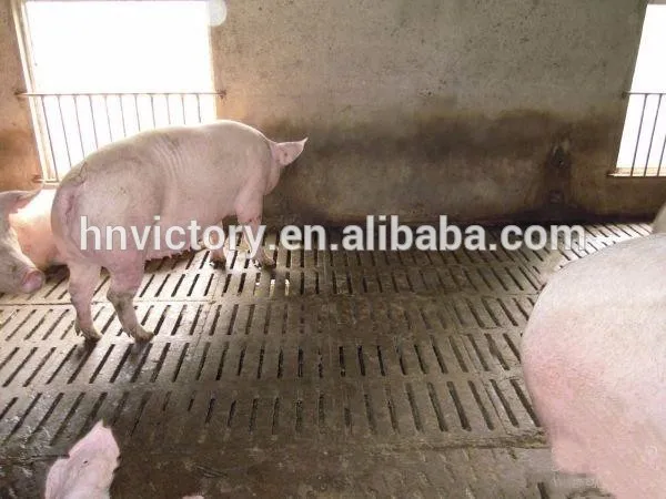 Pig concrete fecal leakage slats mould Board Making Machinery