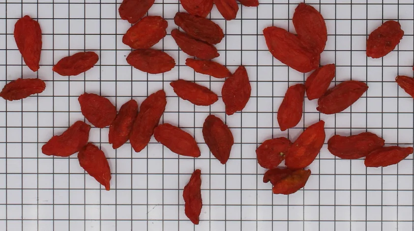 
Fruit of Chinese wolfberry 