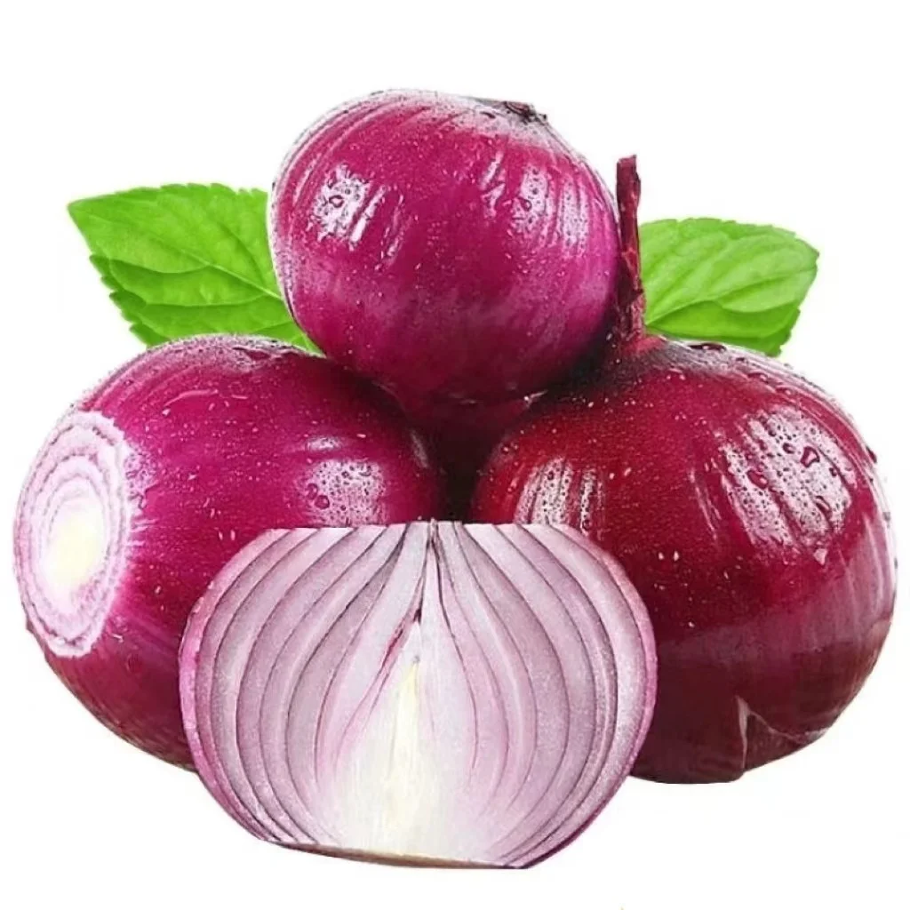 High Quality Fresh Yellow Onion/ Red Onion with cheap price per ton from JUFU onion seeds - New harvest