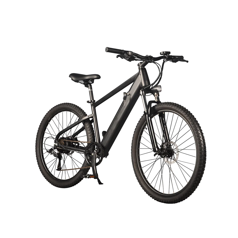 Professional Low Price Disbrake 7 Speed Electric Treadmill Bike E-bike