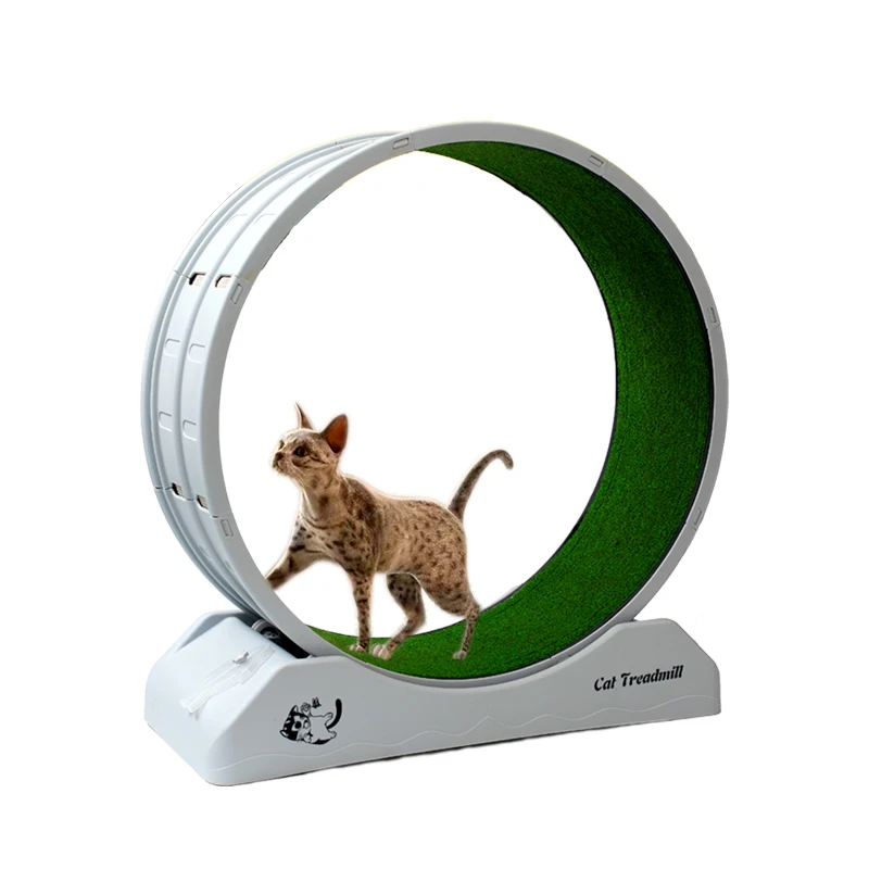 Cat Training Wheel Silent Indoor pet exercise treadmill Interactive indoor fun play amazon hot sale price