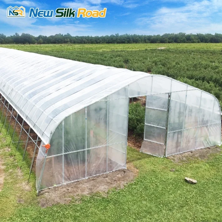 NSR Greenhouse Hot Sale Factory Price Agricultural Single-Span Greenhouse For Sale