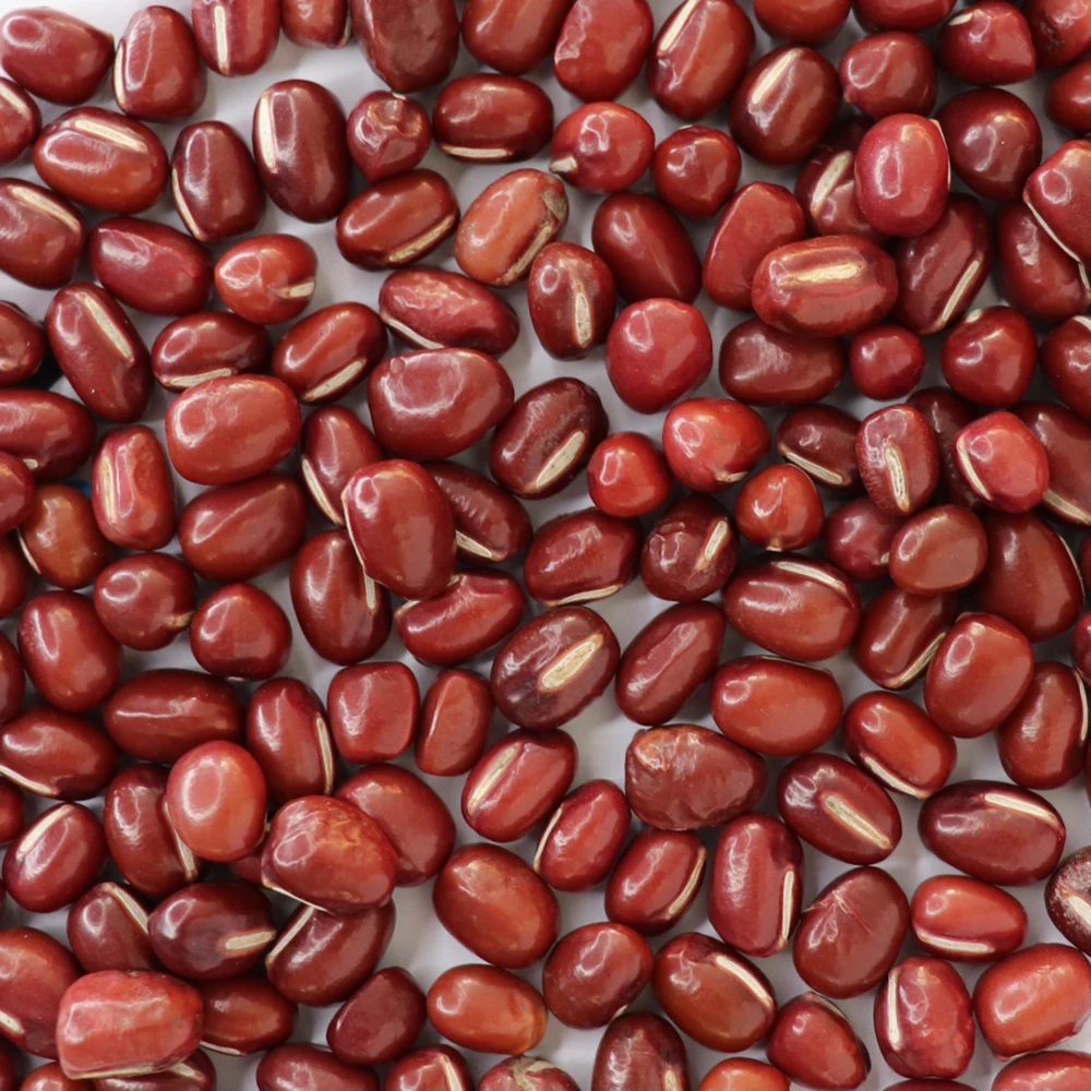 China Origin Red Bean Round Shape Dried Organic Small Red Adzuki Beans Frijol Rossi