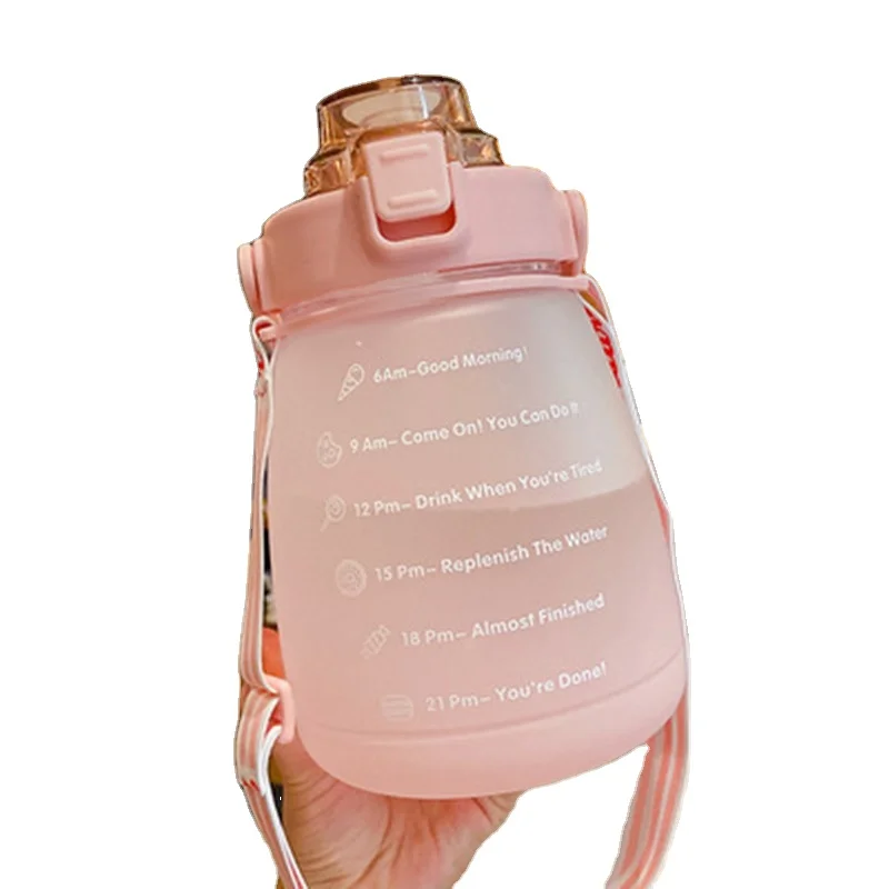 Fashionable Pot-bellied Water Cup Gradient Frosted Portable Anti-fall High-color Plastic Straw Wholesale Products
