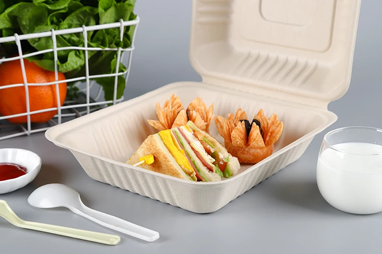 8 inches disposable Sugarcane Bagasse fiber paper clamshell food packaging box