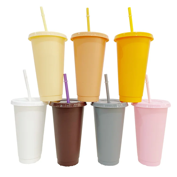 popular 24oz Smoothie set of 20 Reusable matt Frosted Plastic Cups with Lids and Straws for cold water drink
