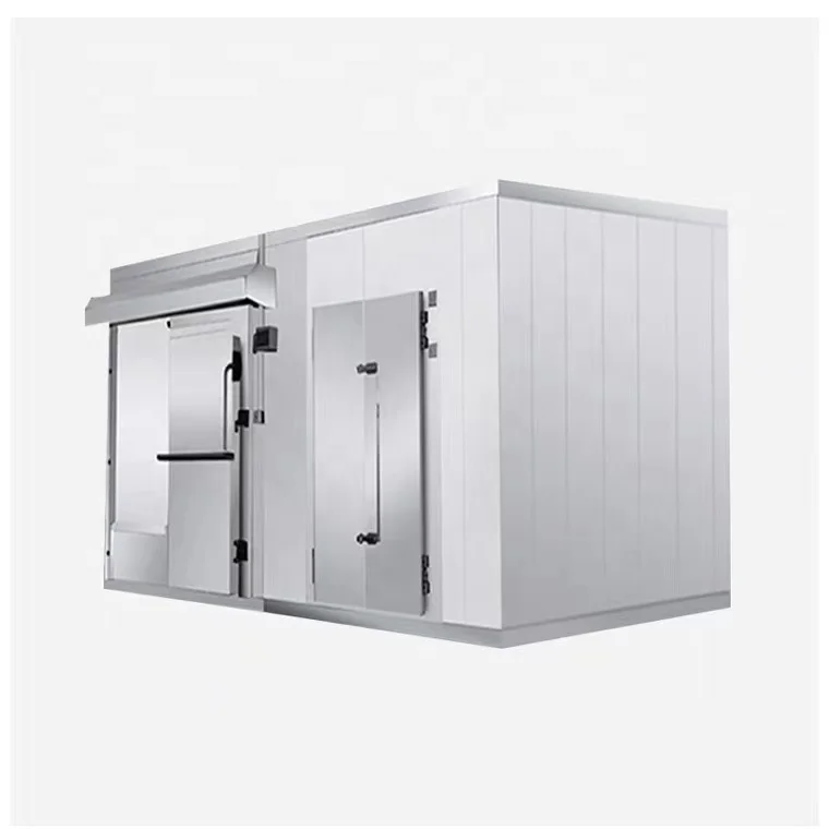 Factory Price Ice Cold Storage 100 ton