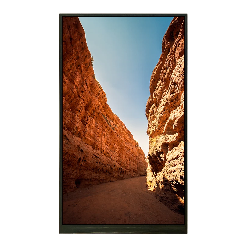 7,0 дюймовый разрешение 600x1024 RGB интерфейс для распознавания лица ЖК-дисплей