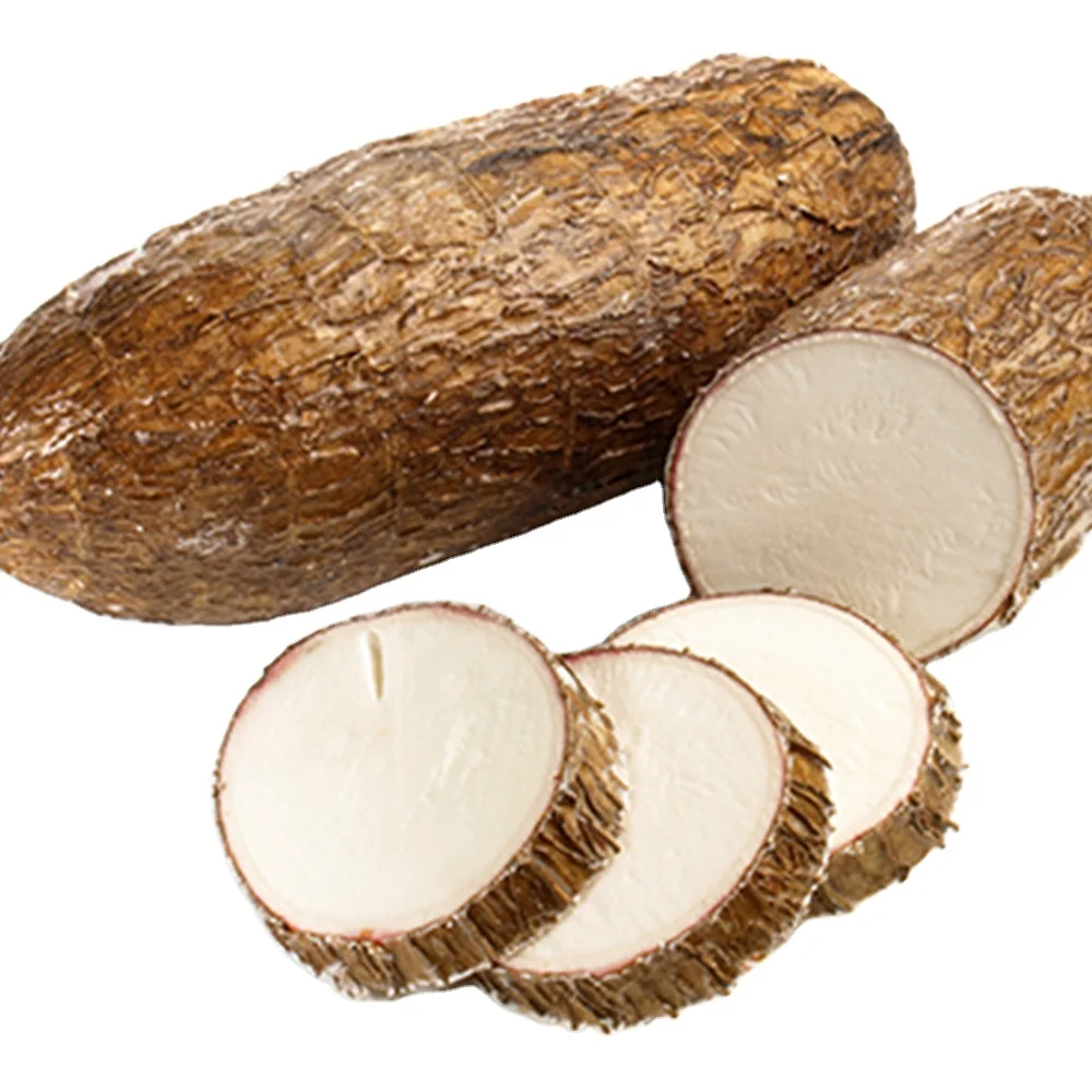 Vietnam Raw dry Cassava / Dried Cassava from Vietnam (Material for Starch) Wholesale with cheap price and Fast delivery service