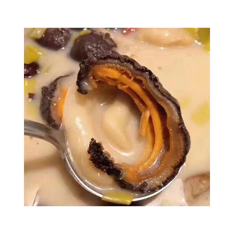 Wholesale Iceland Good Prices Delicious Simonfish Amsterdam Fresh Frozen Wild Caught Dried Sea Cucumber