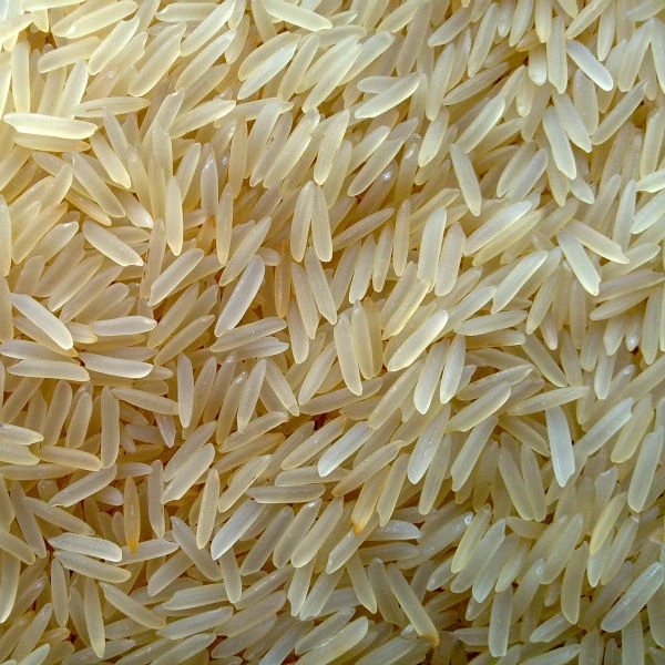 Basmati Rice Sella (168079717)