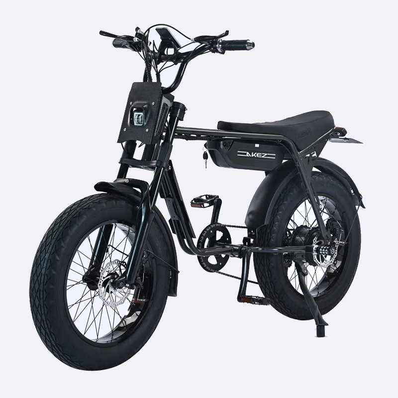 Other electric bike Hydraulic disc brake fat tire bike electric Extended seat electric cycle low price