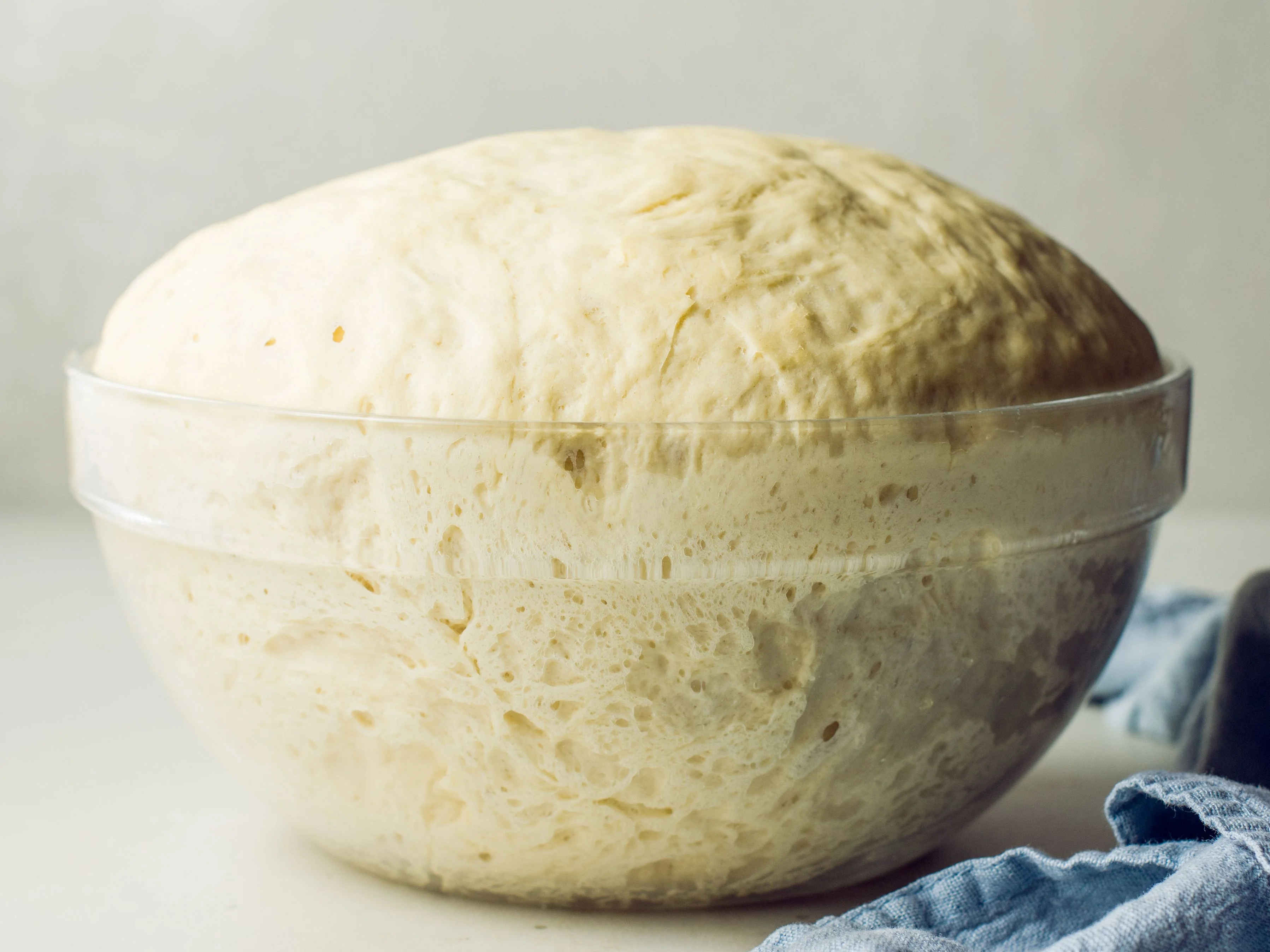 Elevate your Baking Game with Dough Yeast Fermentation: Select Our Prosper Premium Instant Dry Yeast