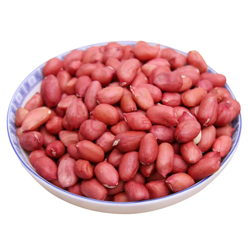 Great quality high protein raw peanut kernels peanut seeds price from Uzbekistan manufacturer wholesale for export